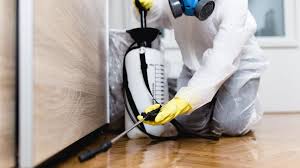 Best Residential Pest Control  in Dumas, AR